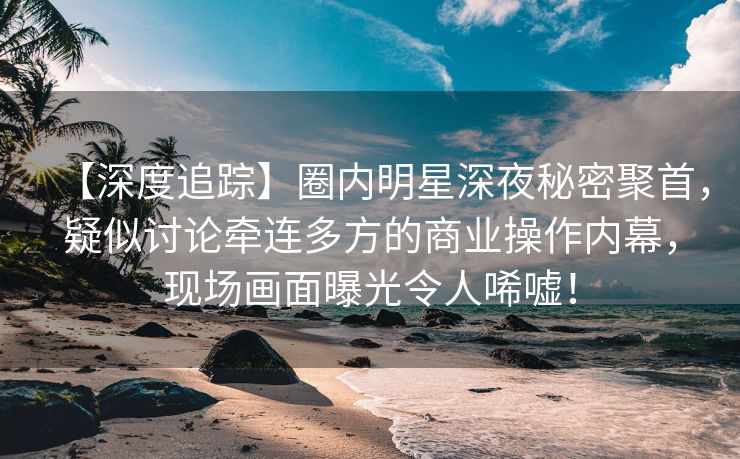 【深度追踪】圈内明星深夜秘密聚首，疑似讨论牵连多方的商业操作内幕，现场画面曝光令人唏嘘！