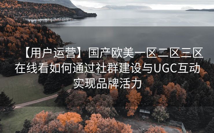 【用户运营】国产欧美一区二区三区在线看如何通过社群建设与UGC互动实现品牌活力 【用户运营】国产欧美一区二区三区在线看如何通过社群建设与UGC互动实现品牌活力